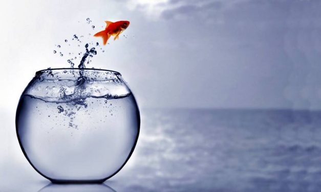 How to Get Out of your Comfort Zone?